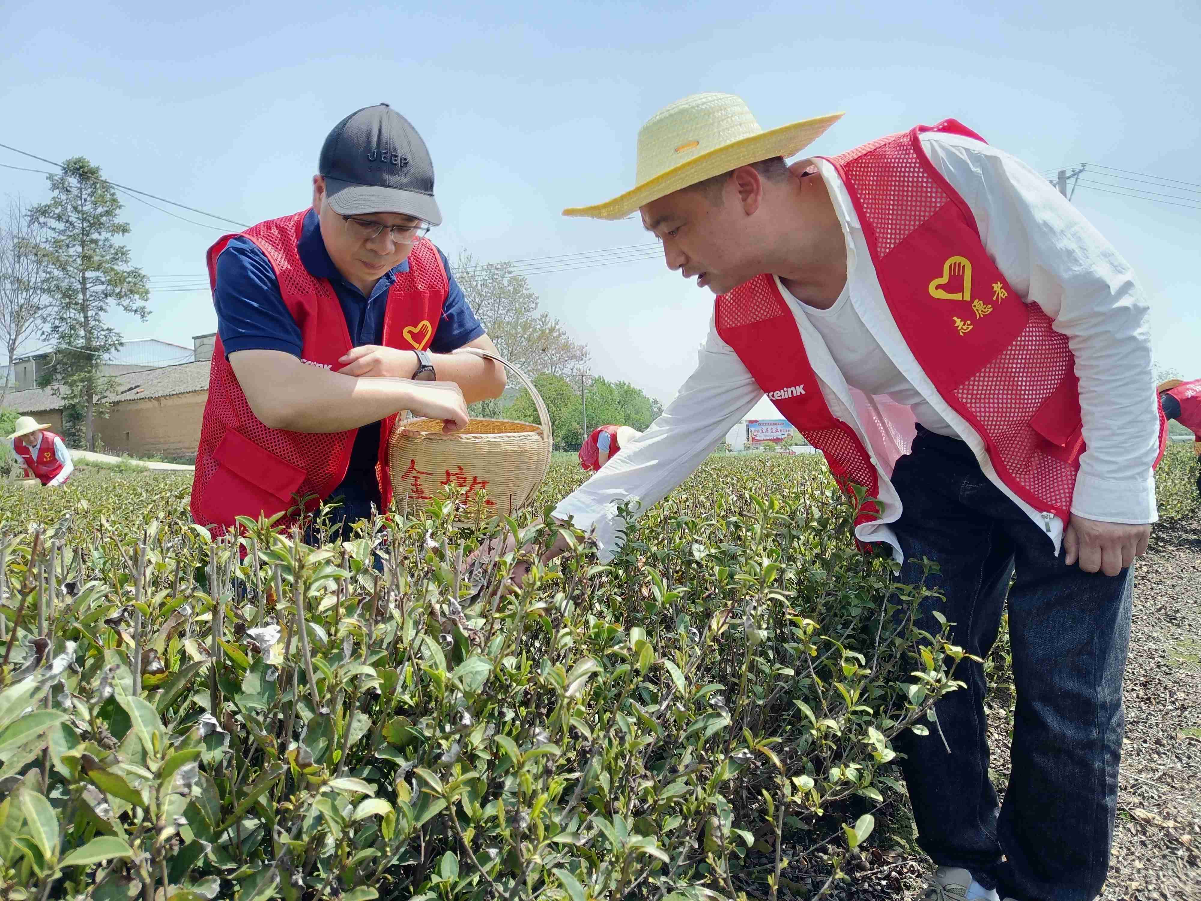 星际娱乐(中国)·有限公司官网