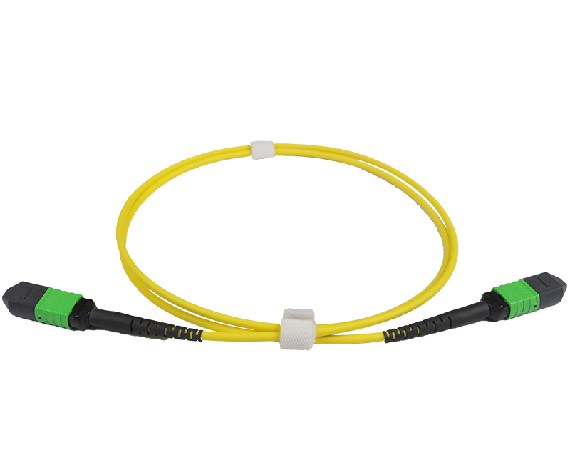 Optical Transport Networks 星际娱乐科技  |  让光引领梦想